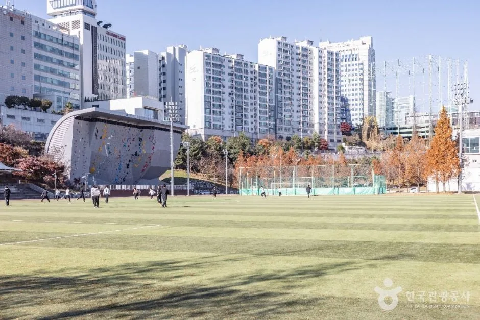 서울강남_대치유수지체육공원 (6)