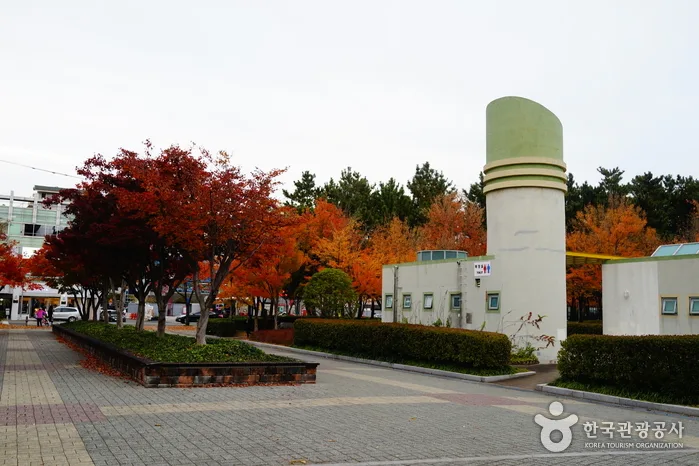 무장애_울산_울산남구문화원02