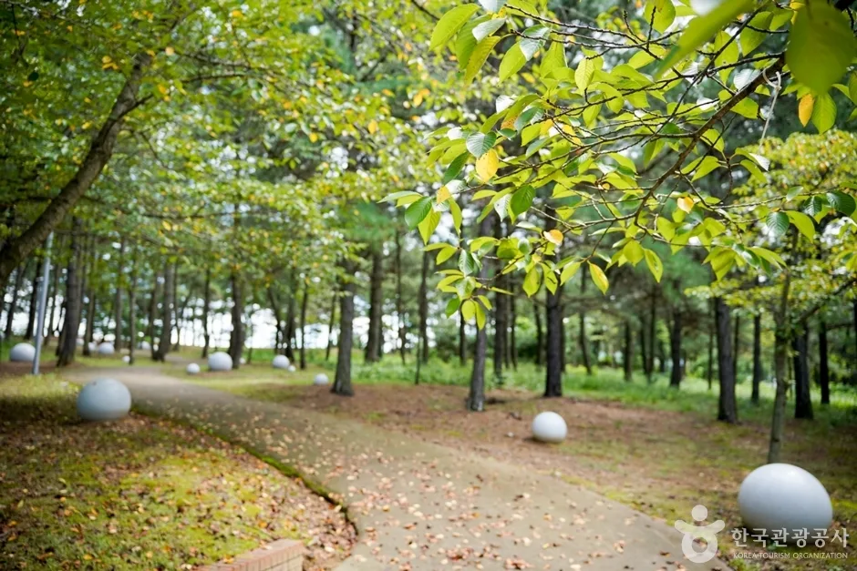 물너울공원(6)