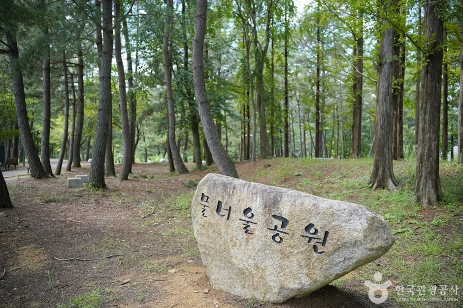 물너울공원(12)