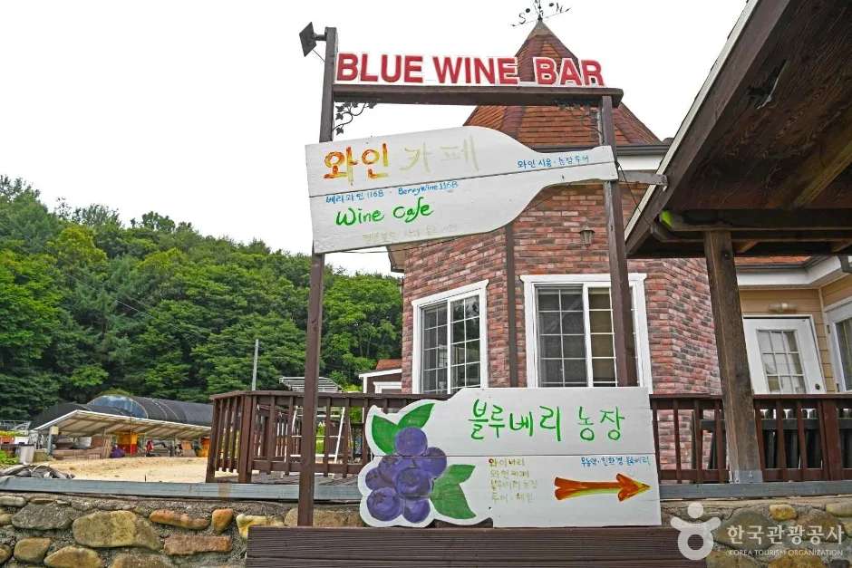 영동블루와인농원 (5)