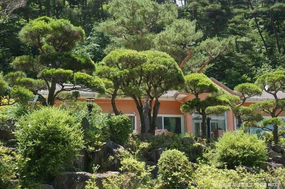 남원_흥부골자연휴양림 (4)