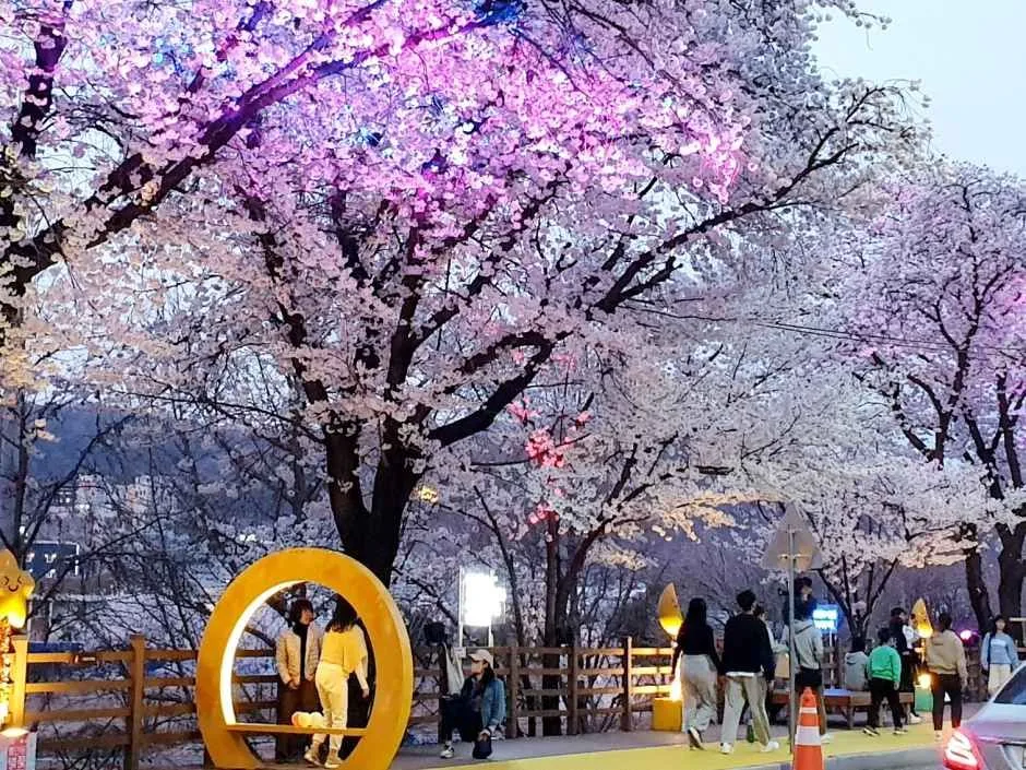 2026 안동벚꽃축제 (5).jpg