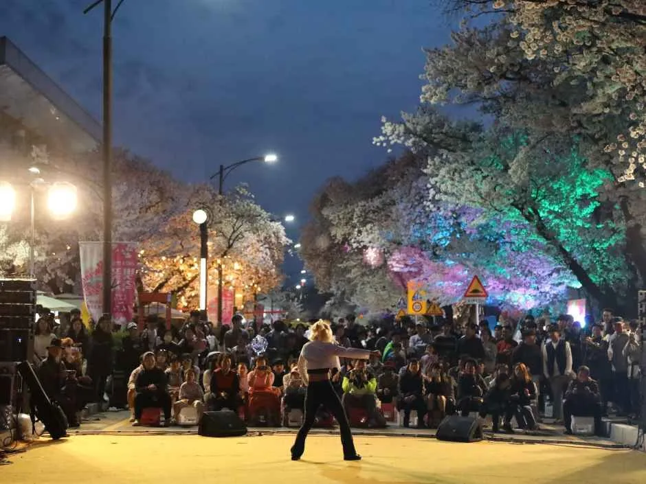 2026 안동벚꽃축제 (7).JPG