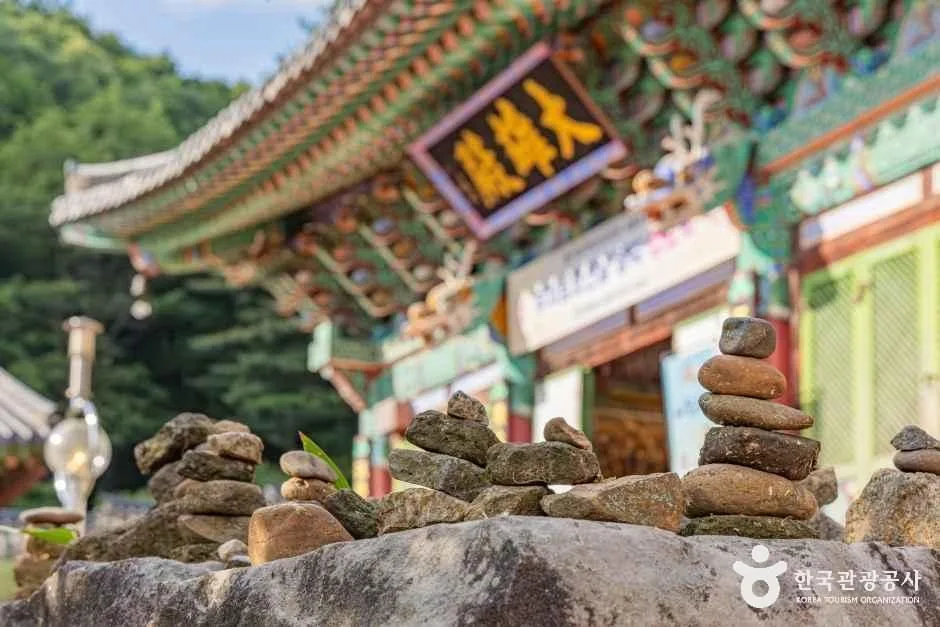 세종특별자치시_비암사_외부_3.jpg