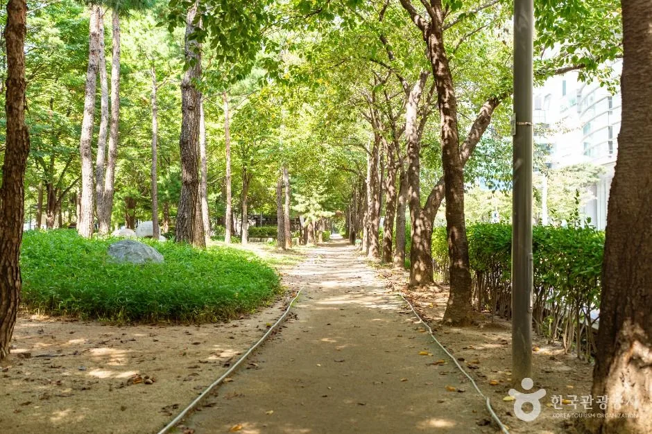 서울_거리공원 (4)