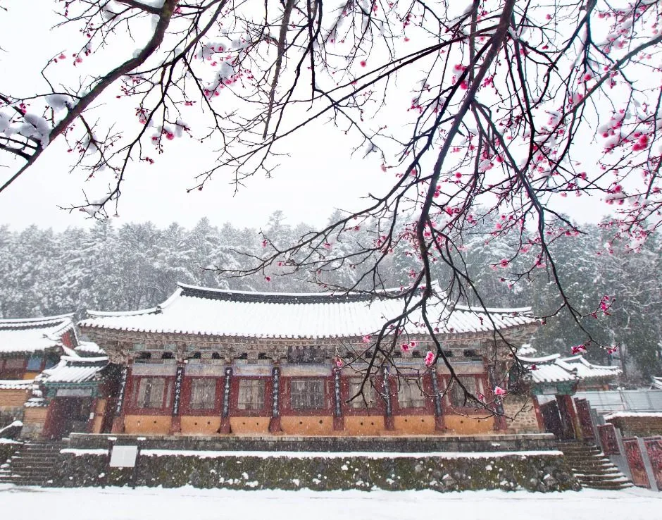 경남_고성군_옥천사(고성) (2).jpg