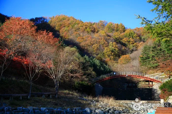 의성_금봉자연휴양림 (1).jpg