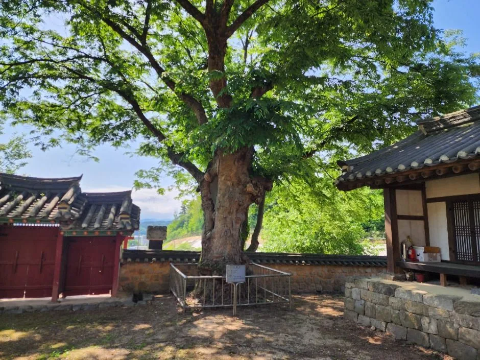 파주_파주향교 (6)