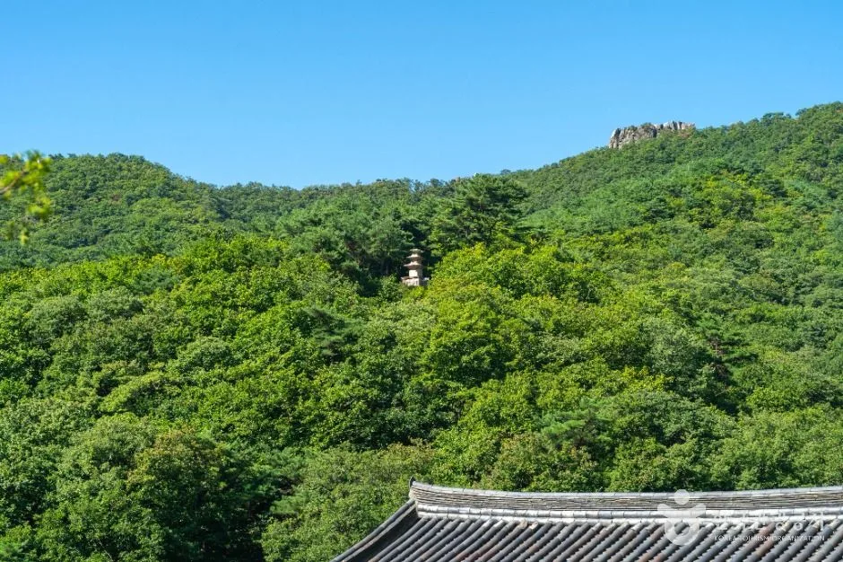 경산_선본사(경산) (4)