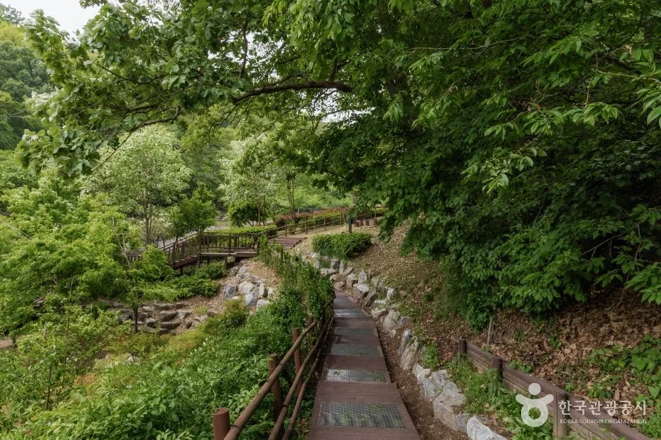 서울_우면산자연생태공원 (5)