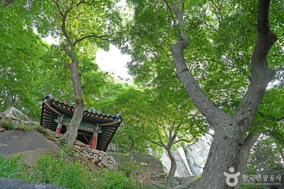 죽사(서산) (4)