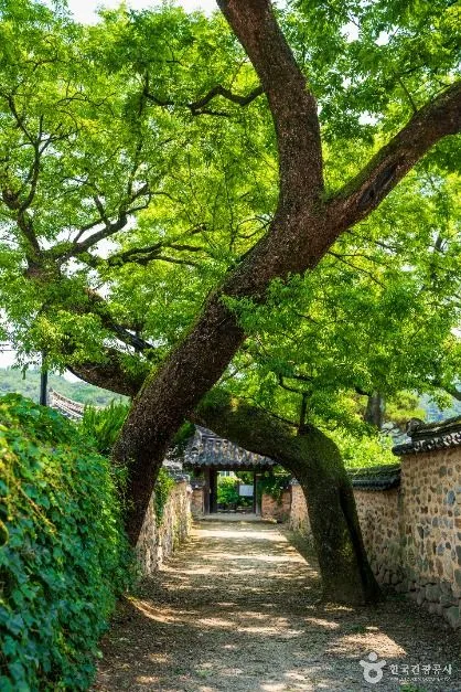 경남_산청_남사예담촌_최씨고가_내부_2.JPG