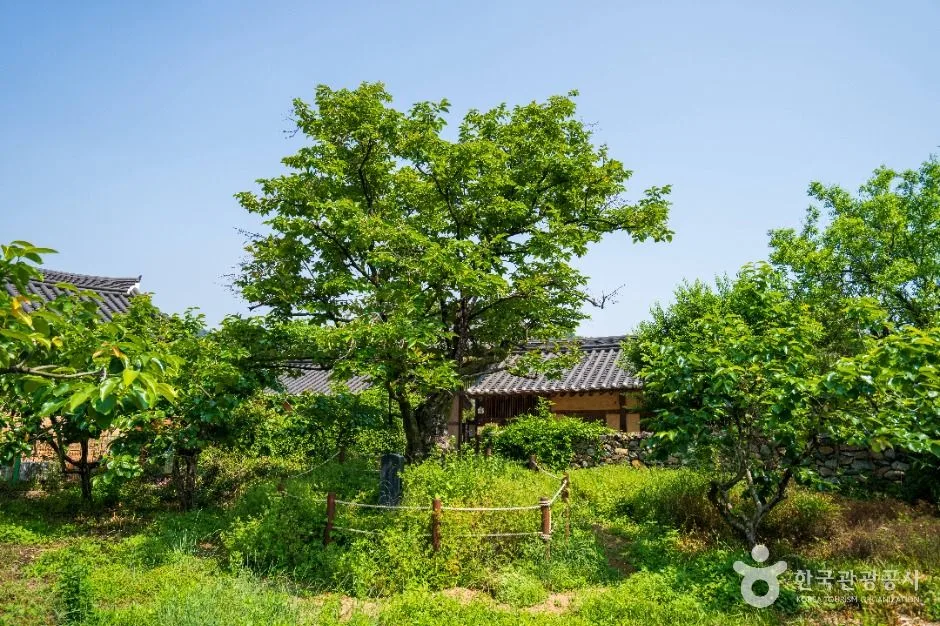 경남_산청_남사예담촌_옛담장거리_1.JPG