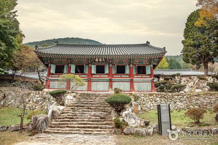 사천_봉명산시립공원 (2).jpg