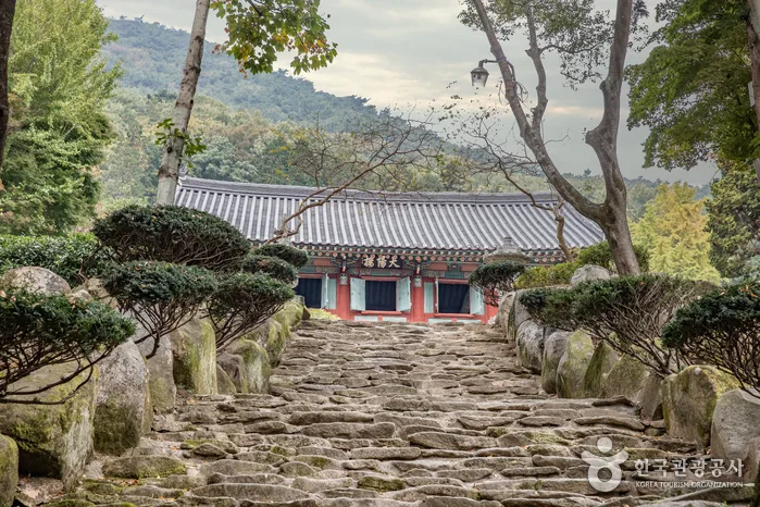 사천_봉명산시립공원 (5).jpg