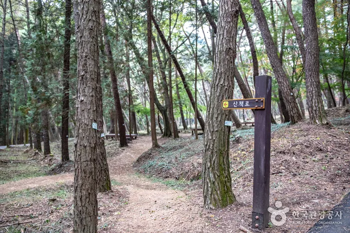 경남_사천_봉명산시립공원08