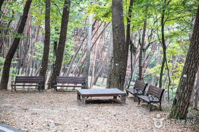 사천_봉명산시립공원 (4).jpg