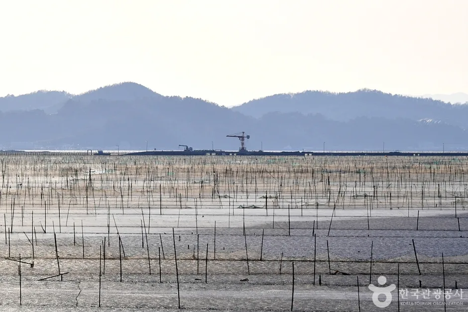 전남_순천_순천만 화포포구 (14)