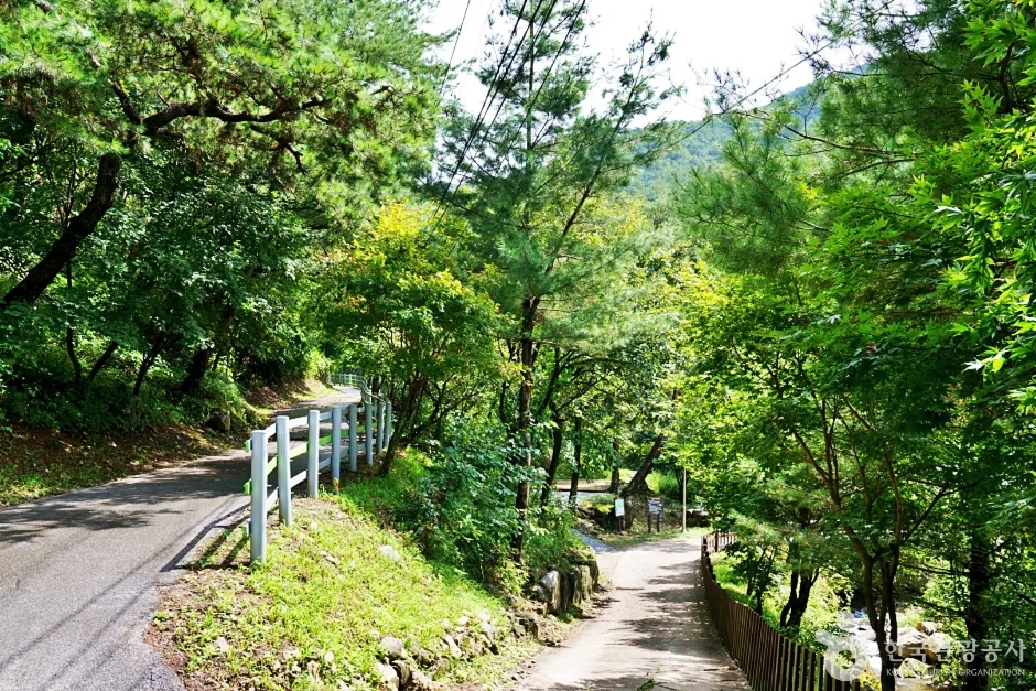 박달재자연휴양림 (2)