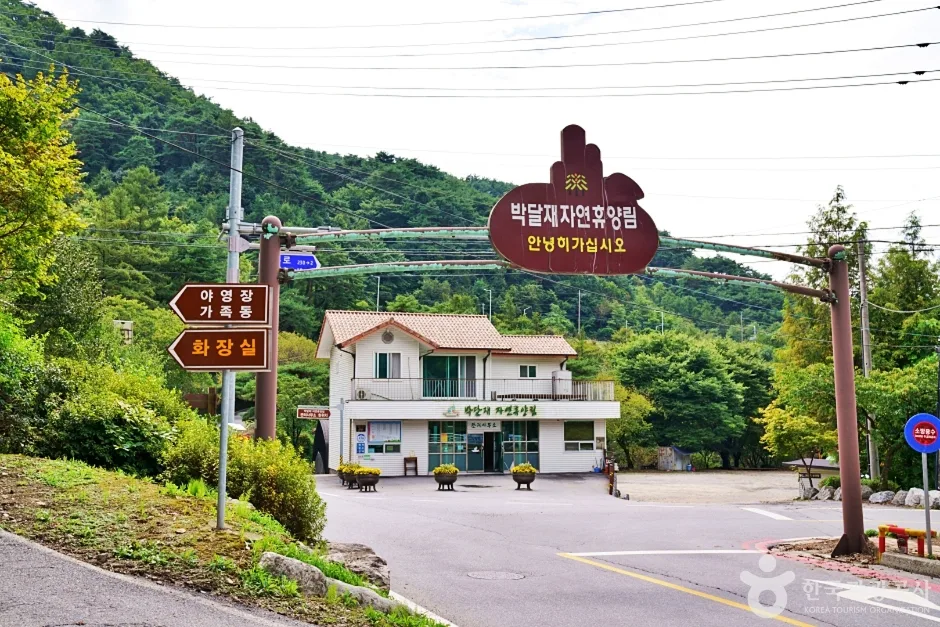 박달재자연휴양림 (14)