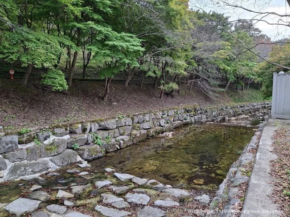 화순_한천자연휴양림 (1)