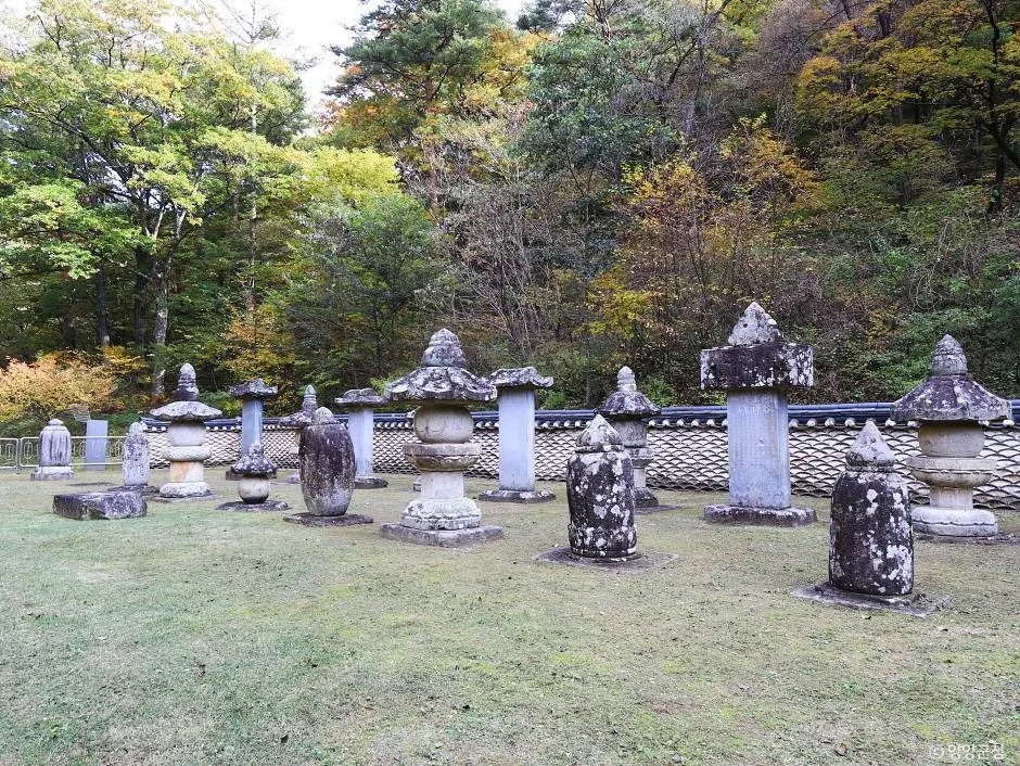 양양군_명주사부도군 (1).jpg