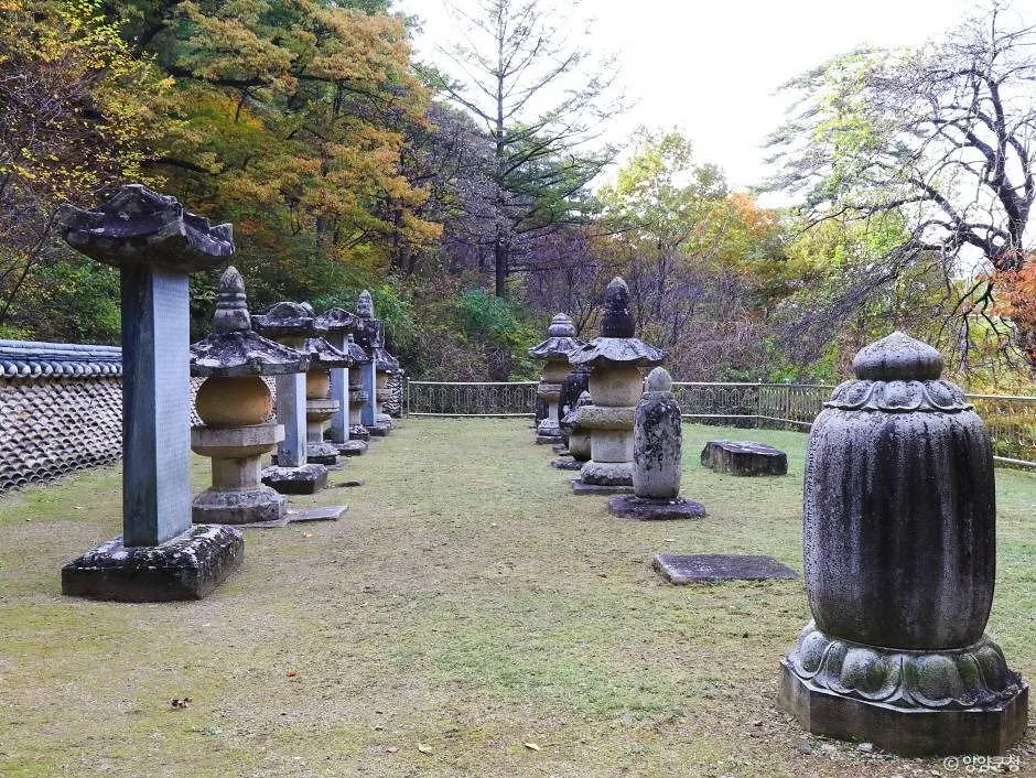 명주사부도군