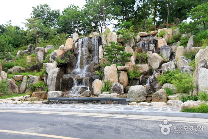 대구수목원 (2)
