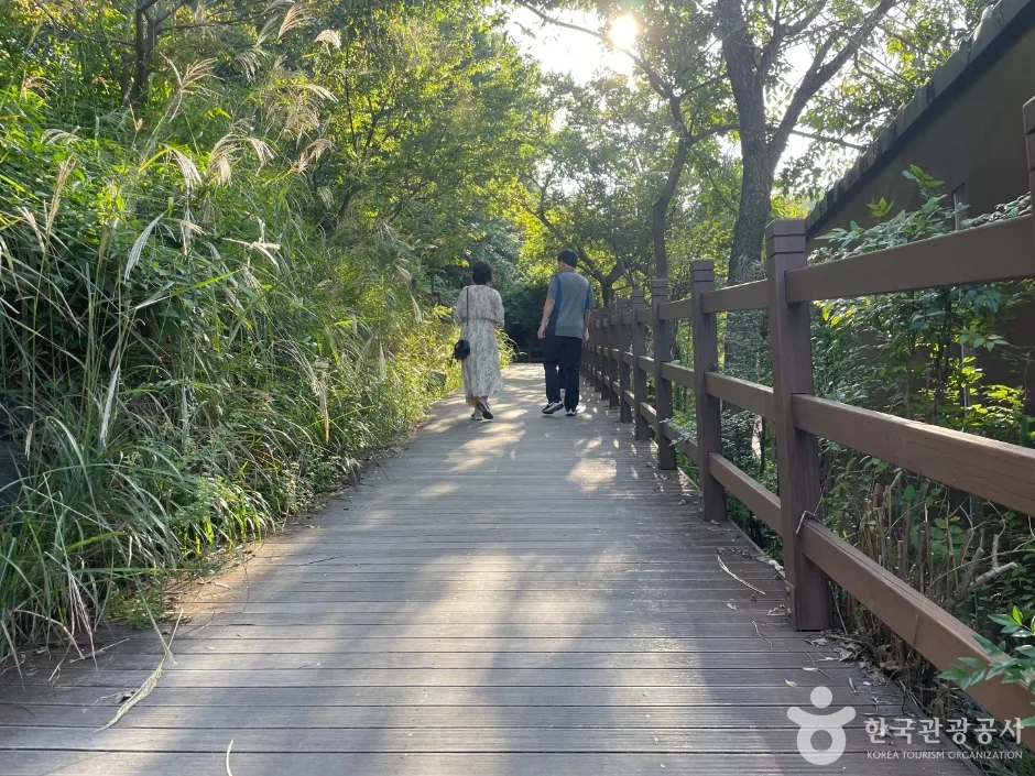 대구수목원_2