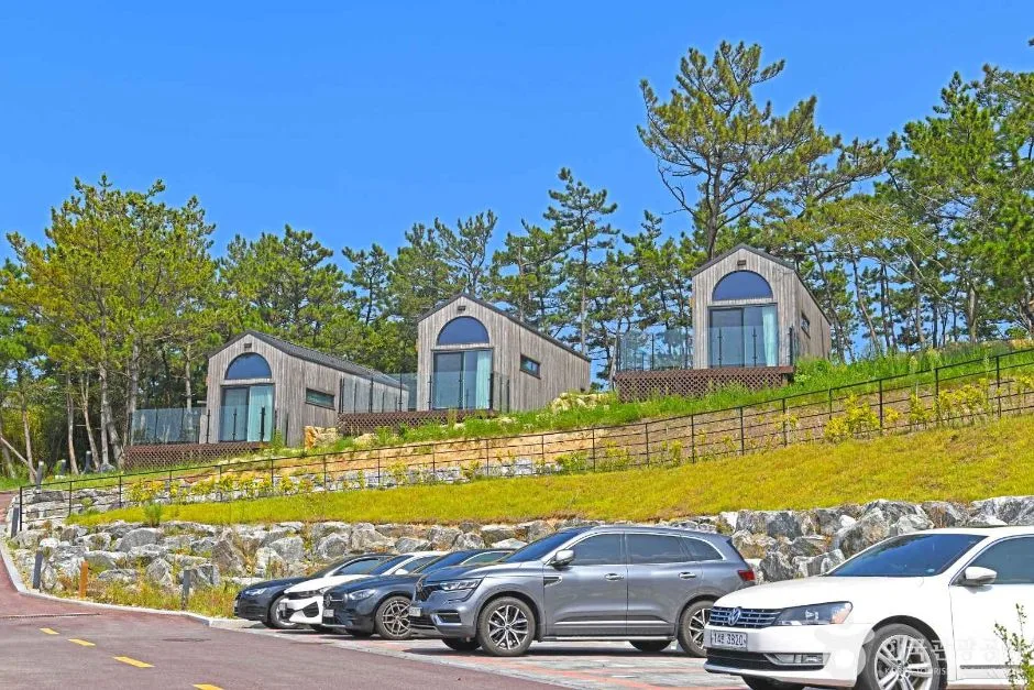 전북_부안_변산반도 생태탐방원 (2)