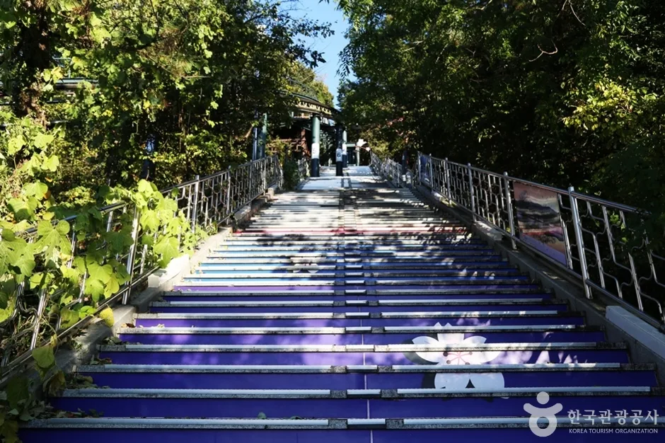 제황산공원모노레일카 (5)