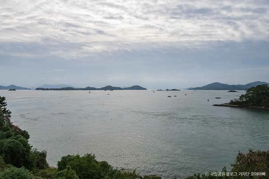 사천_한려해상국립공원(사천) (5).jpg