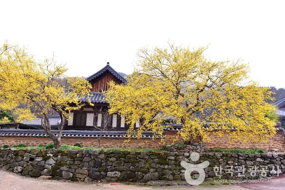 조계산도립공원 (18)