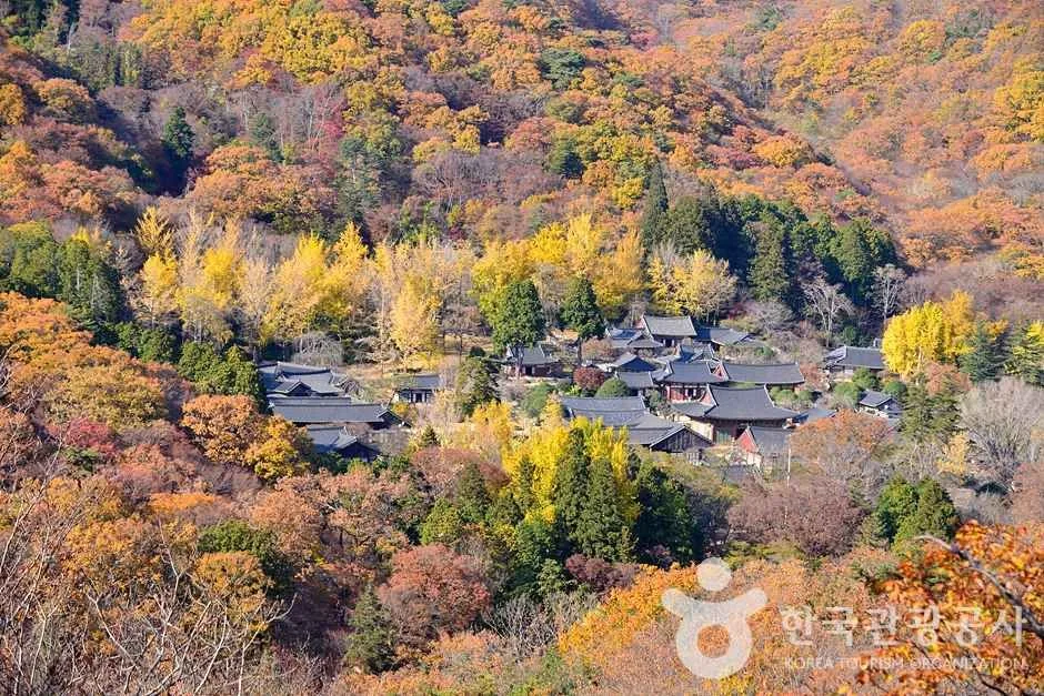 조계산도립공원 (17)