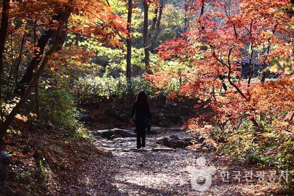조계산도립공원 (15)