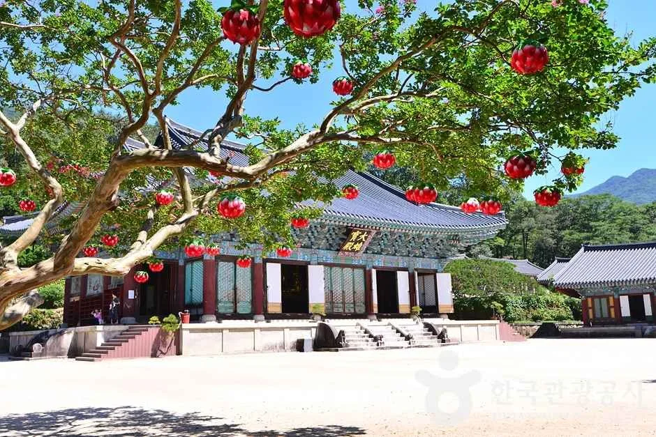 조계산도립공원 (14)