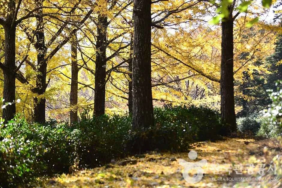 조계산도립공원 (5)