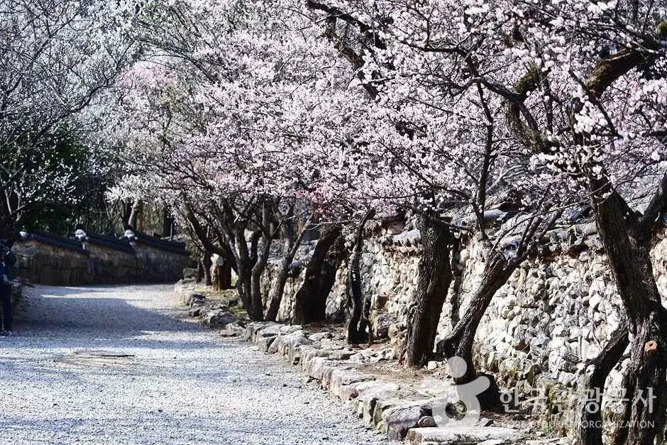 조계산도립공원 (12)