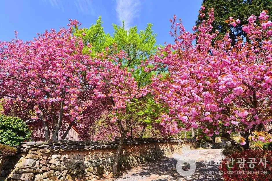조계산도립공원 (13)