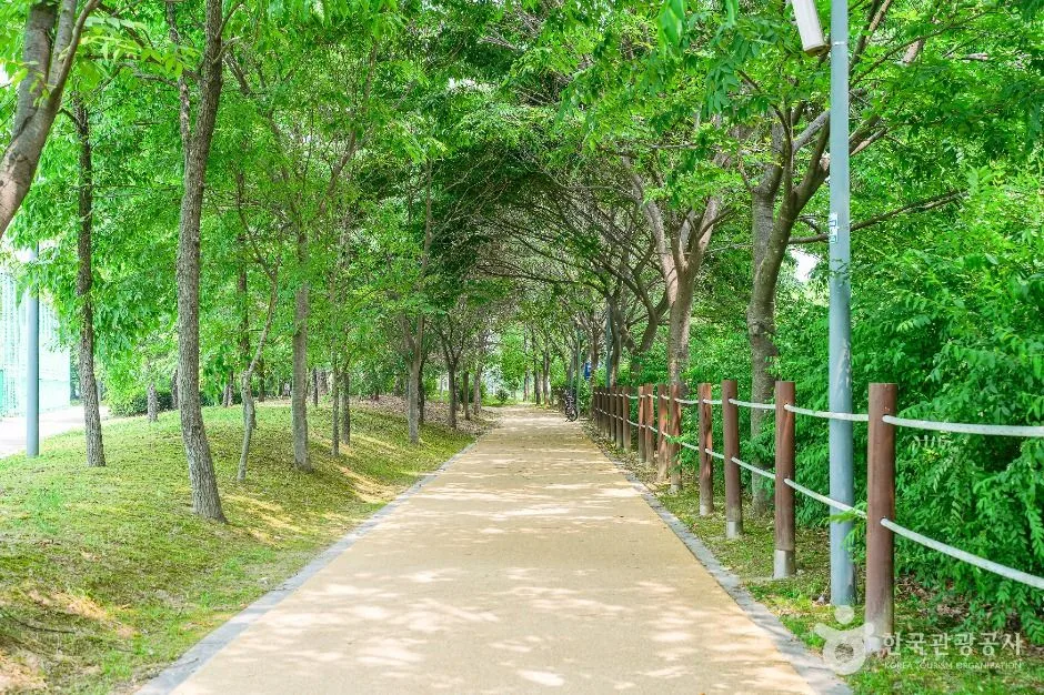 수원_서호꽃뫼공원 (3)