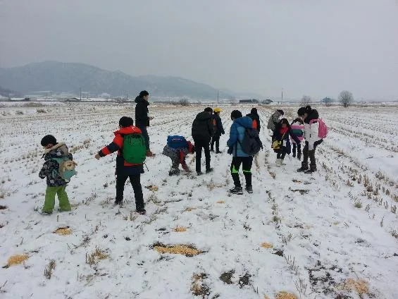 철원, 평화롭게 ‘두루미 자는 버들골’