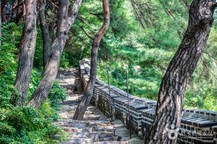 광주_남한산성도립공원 [유네스코 세계유산] (9).jpg