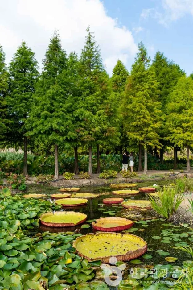 충남_태안_청산수목원_외부_7.jpg