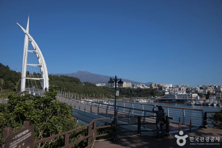 새섬 새연교 (5)