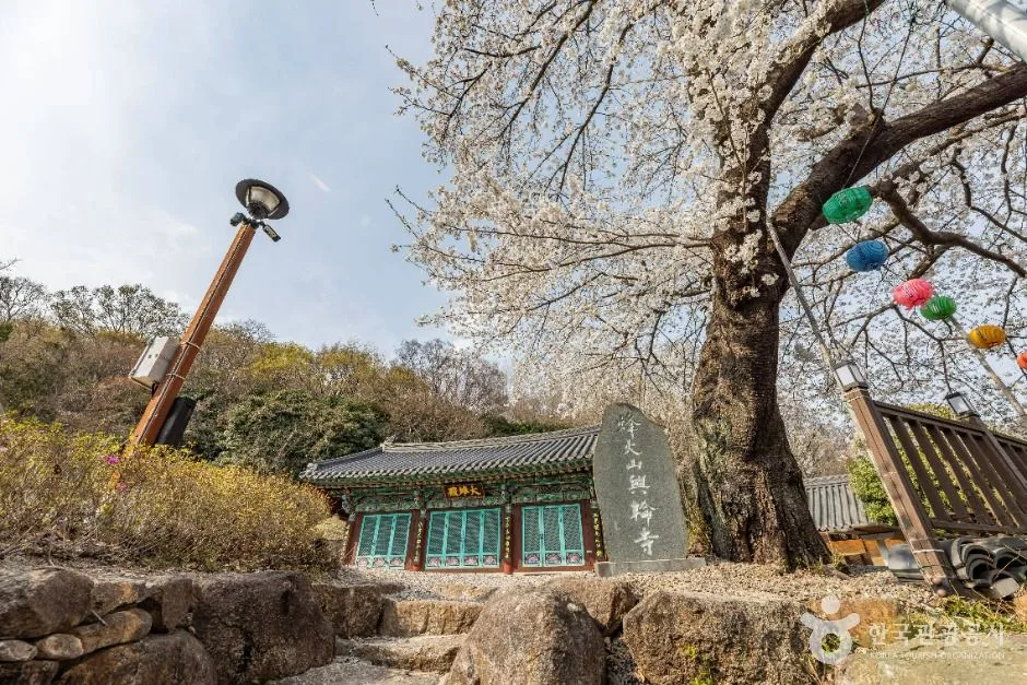 순천_흥륜사(순천) (6)