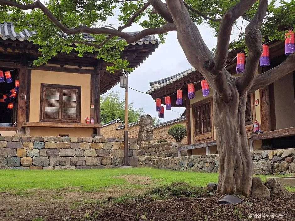 영천_영천향교 (2)