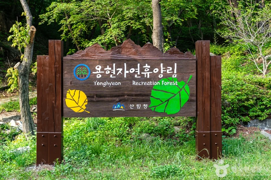 국립용현자연휴양림