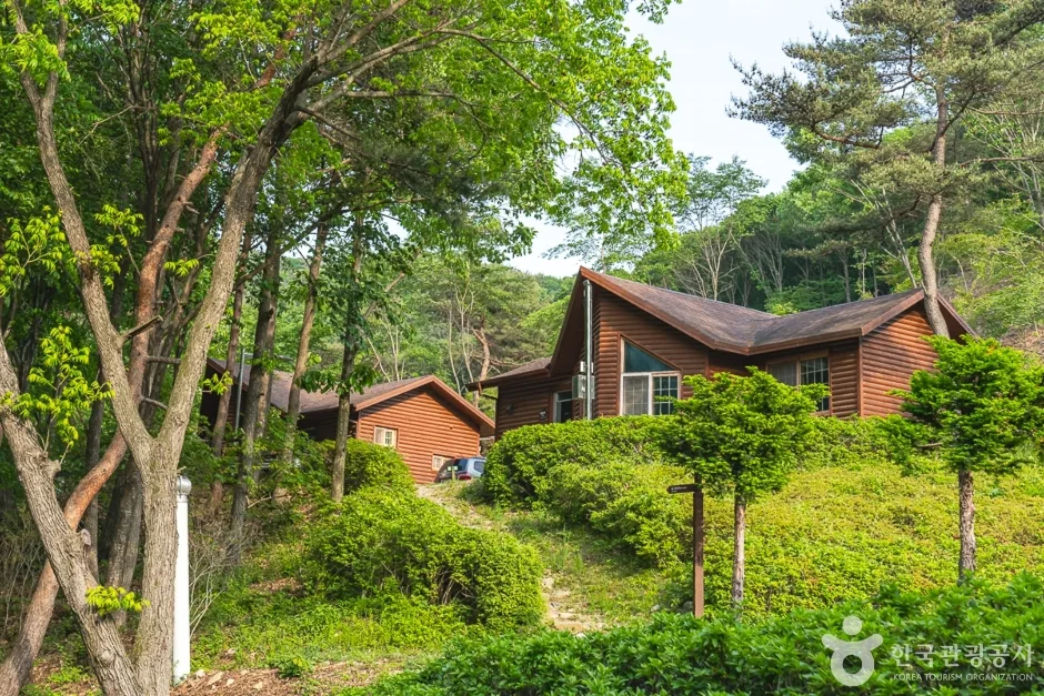 서산_국립용현자연휴양림 (4).jpg