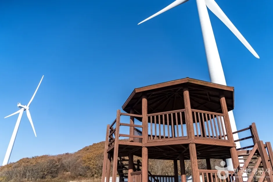 청옥산전망대 (12)
